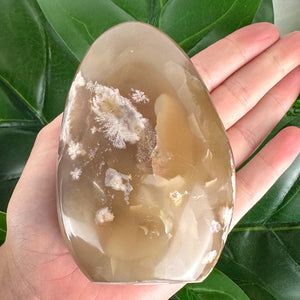 Flower Agate Free Form Crystal | Feminine Energy, Growth & New Beginnings