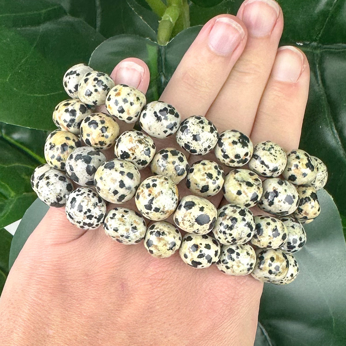 Dalmatian Jasper Nugget Bracelet | Joy, Grounding & Protection