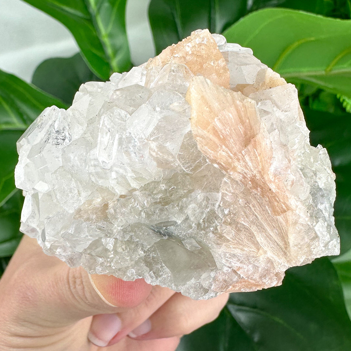 Apophyllite Cluster No.4 – Delicate Points & Soft Tones (180g)