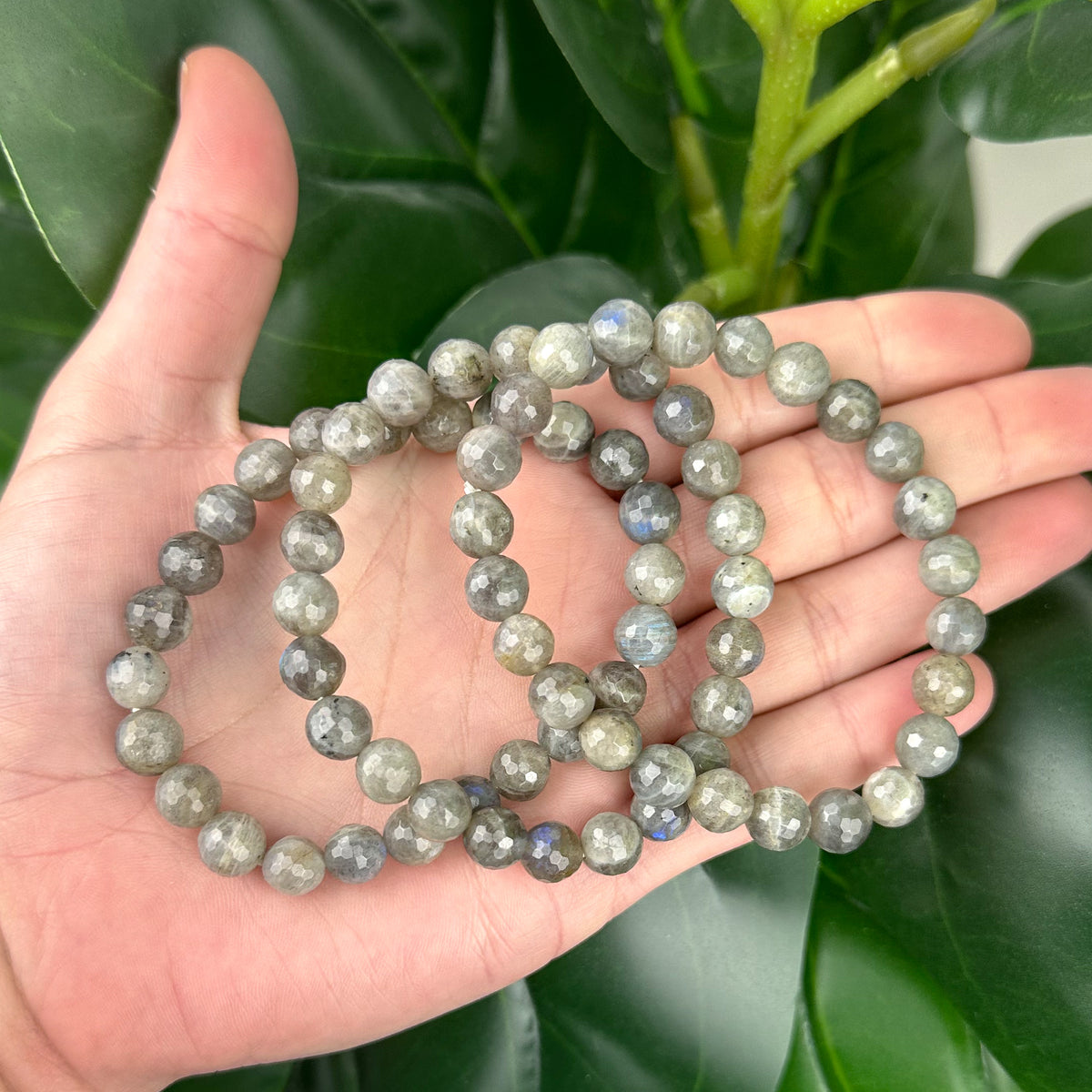 Labradorite Faceted Bracelet | Protection, Intuition & Transformation