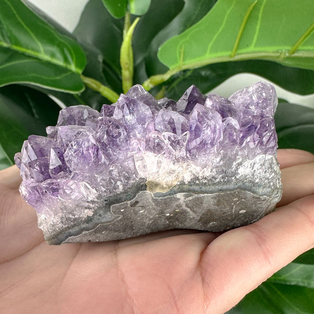 Amethyst Cluster | Natural Crystal | One of a Kind | Spiritual Healing