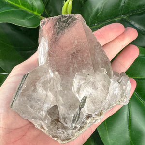 Premium Epidote in Quartz Cluster | Manifestation & Healing Energy
