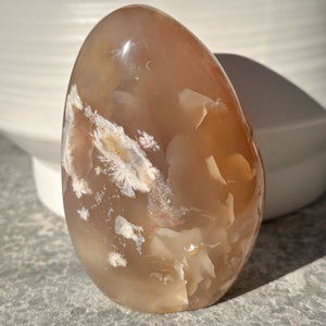 Flower Agate Free Form Crystal | Feminine Energy, Growth & New Beginnings