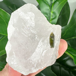 Epidote in Quartz Crystal | Grounding, Healing & Positive Energy