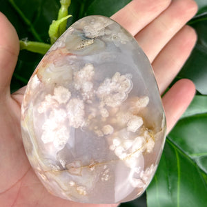 Flower Agate Free Form Crystal | Feminine Energy, Healing & New Beginnings