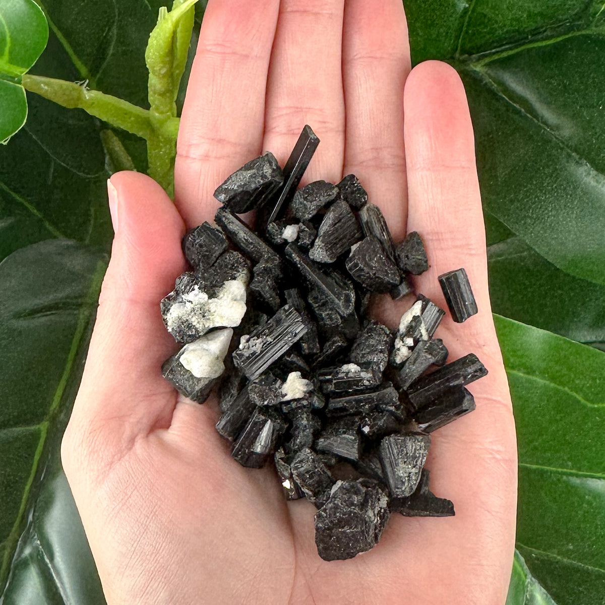 Raw Black Tourmaline Crystal | Protection & Grounding Stone