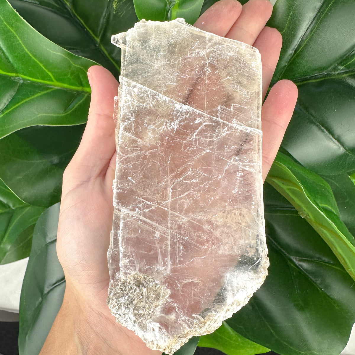 Natural Selenite Window | Cleansing, Peace & Angelic Energy