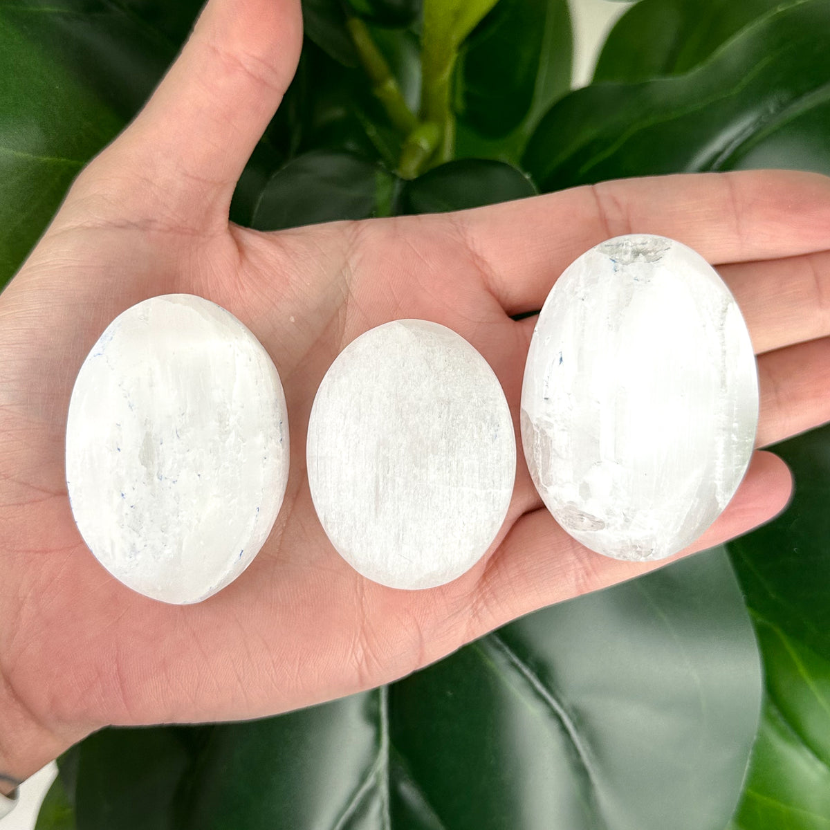 Selenite Palm Stone | Energy Cleansing Crystal