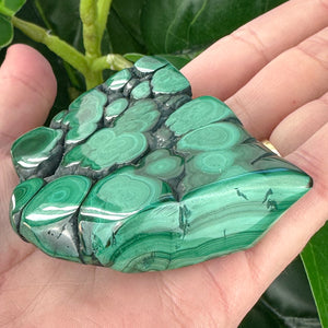 Polished Malachite Crystal | Grounding, Confidence & Protection