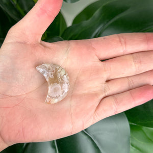 Flower Agate Moon Crystal #1 | Growth & New Beginnings Crystal