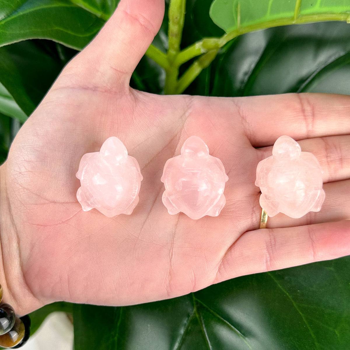 Rose Quartz Mini Turtle Carving
