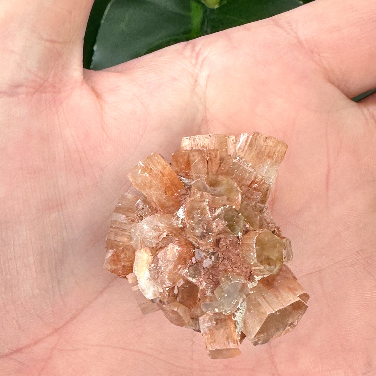 Natural Aragonite Sputnik | Grounding Crystal & Calming Energy