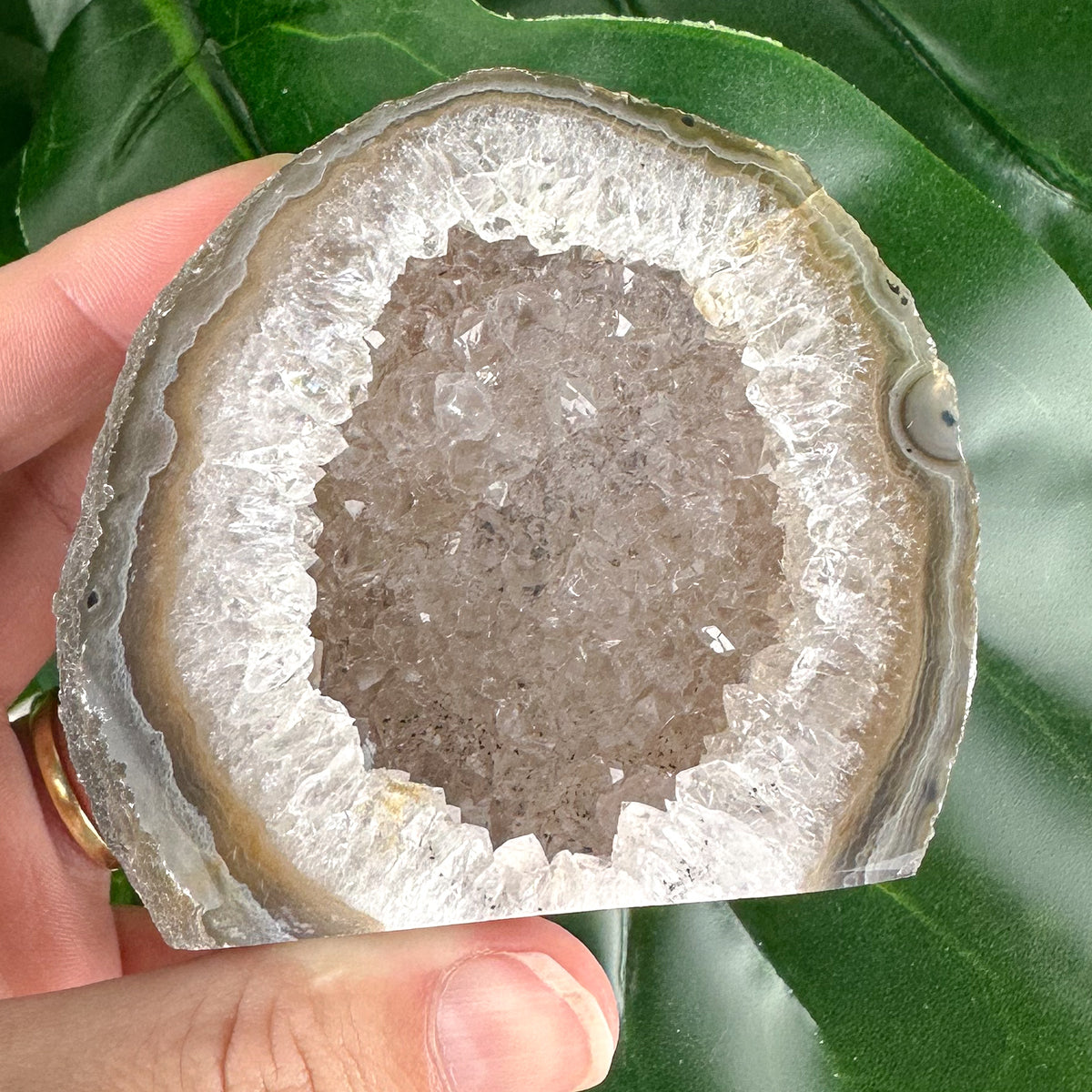 Polished Druzy Agate Slice – Inner Strength & Stability