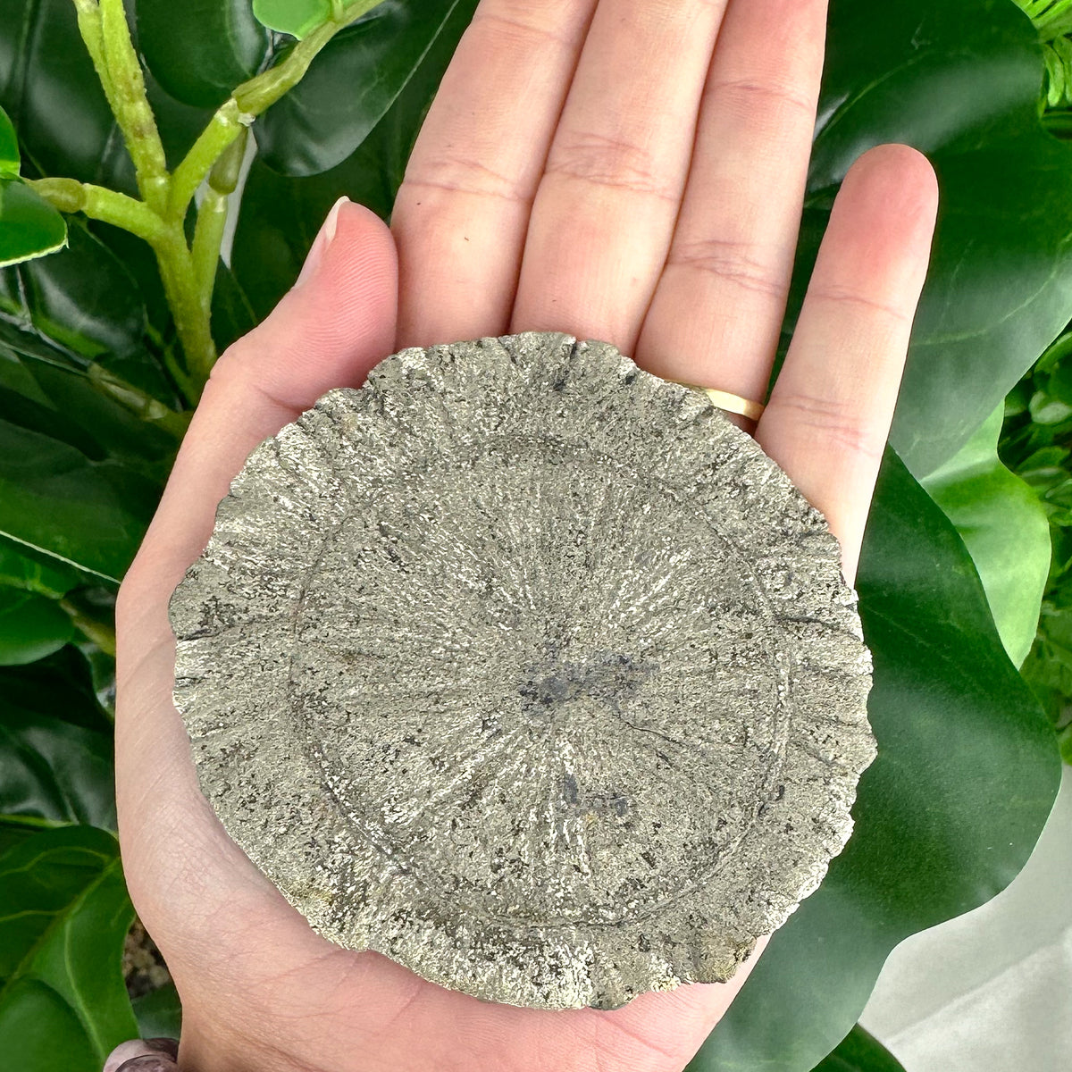 Large Pyrite Sun Crystal (103g), Raw Collector Mineral for Protection & Power