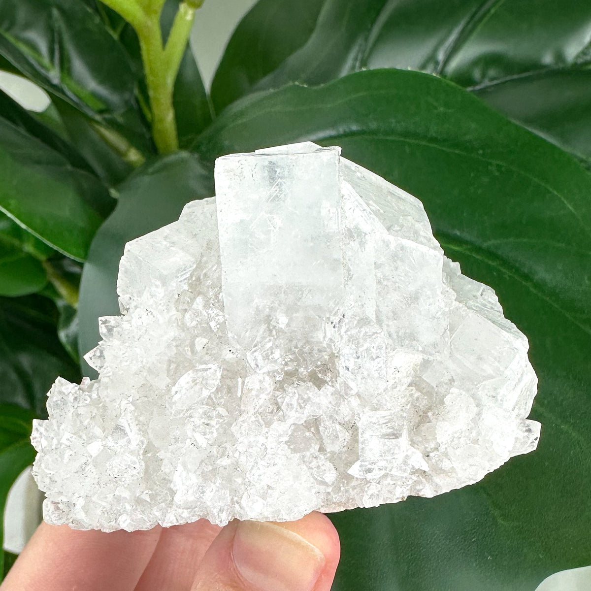 Apophyllite Cluster No.5 – Rainbow Cubes & Clarity (167g)