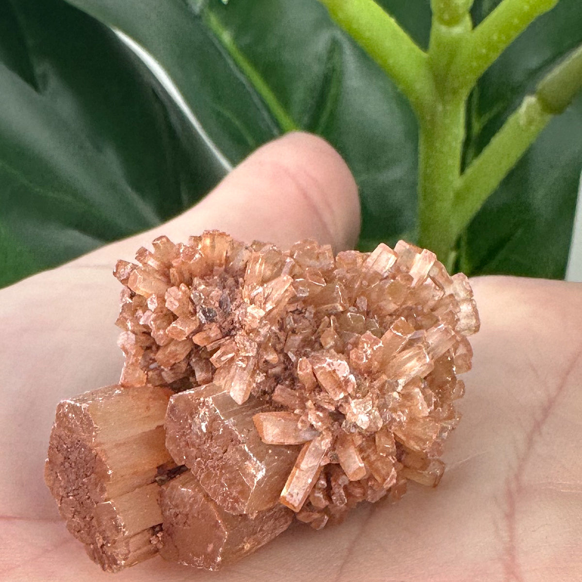 Aragonite Sputnik Formation | Earth Energy, Grounding & Support