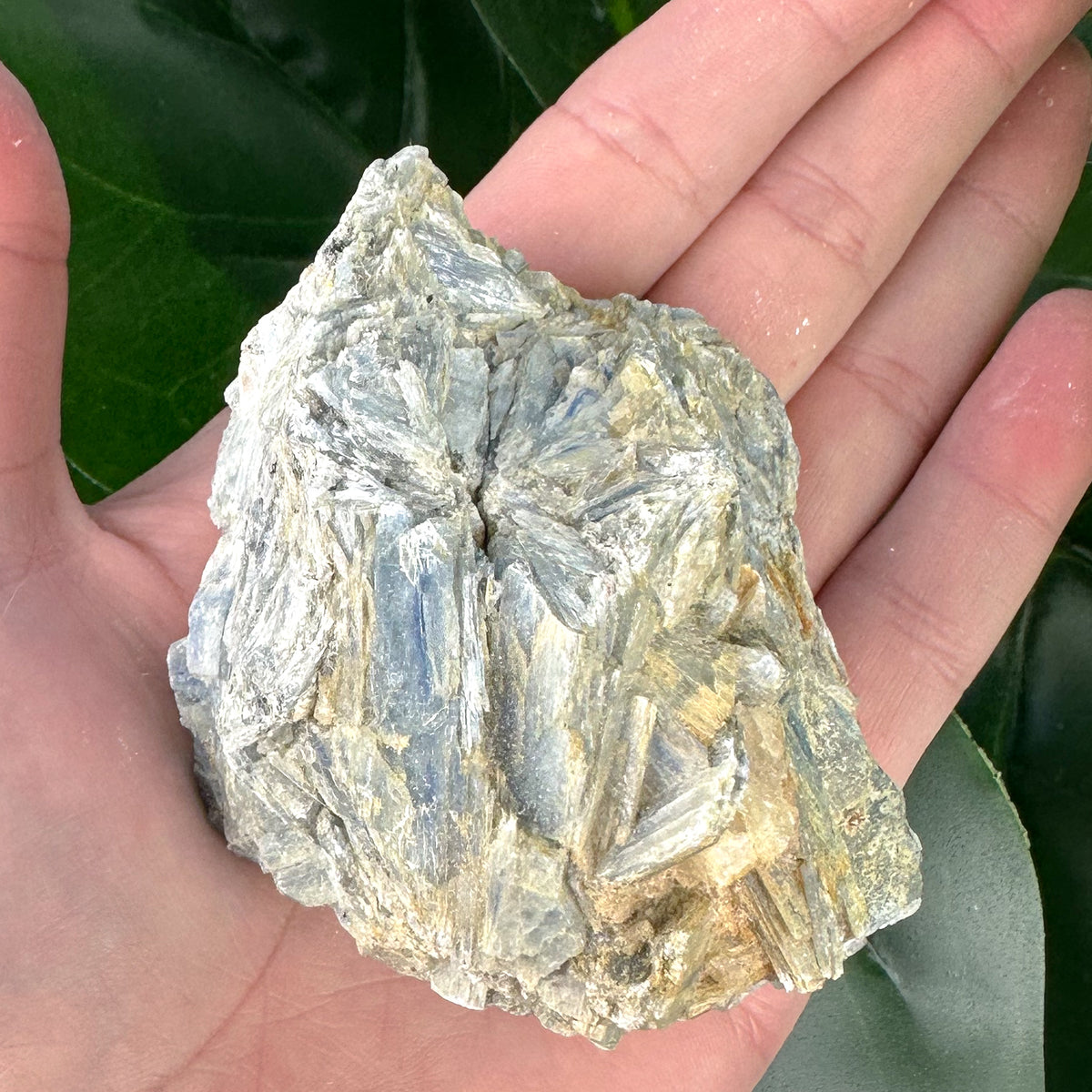 Blue Kyanite Mineral Specimen | Alignment, Calm & Intuition