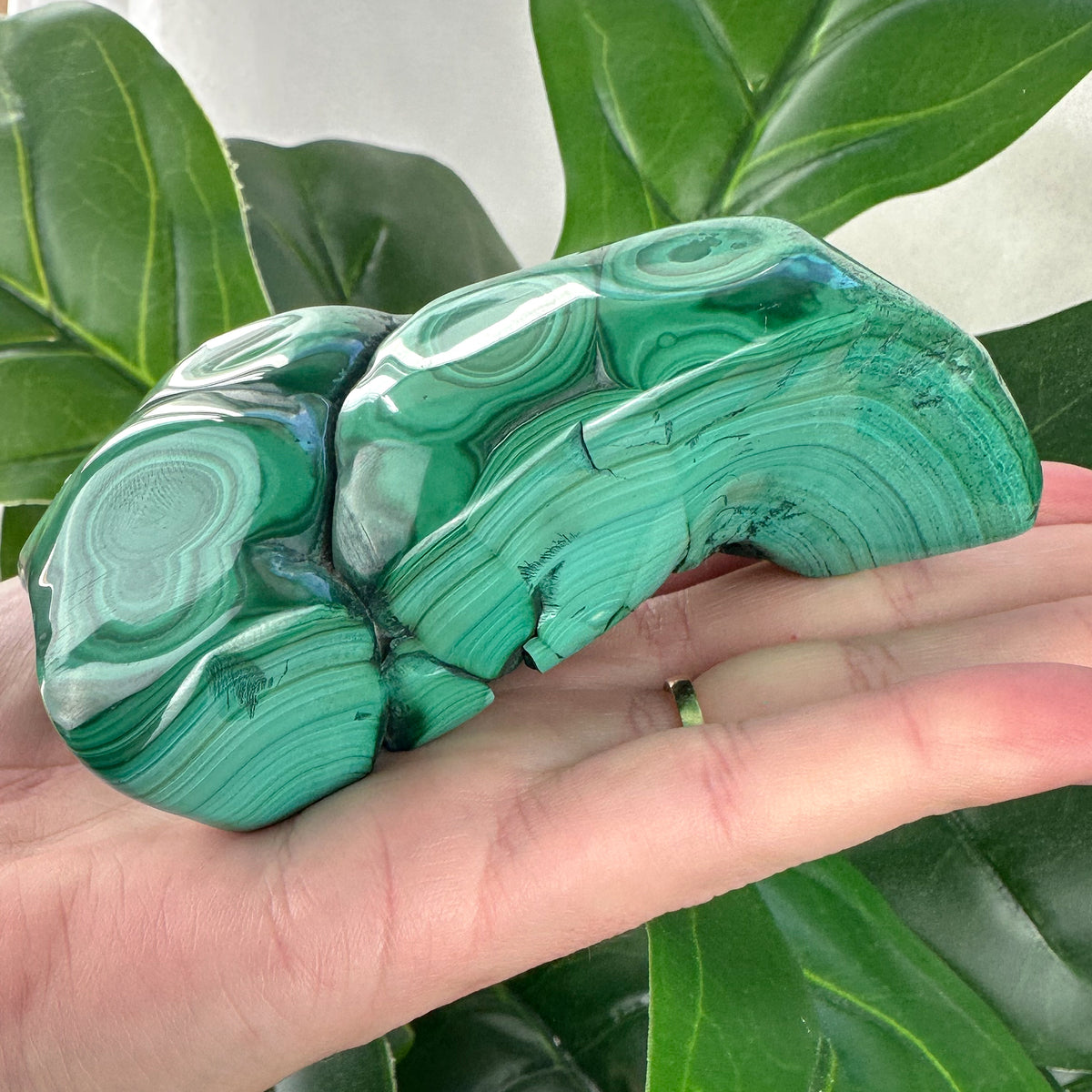 Polished Malachite Crystal | Transformation, Protection & Heart Healing