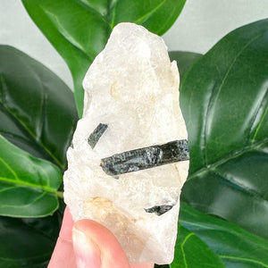 Blue Green Tourmaline Rod in Quartz | Healing & Protection
