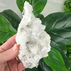Apophyllite Cluster Crystal | Calm, Intuition & Spiritual Healing
