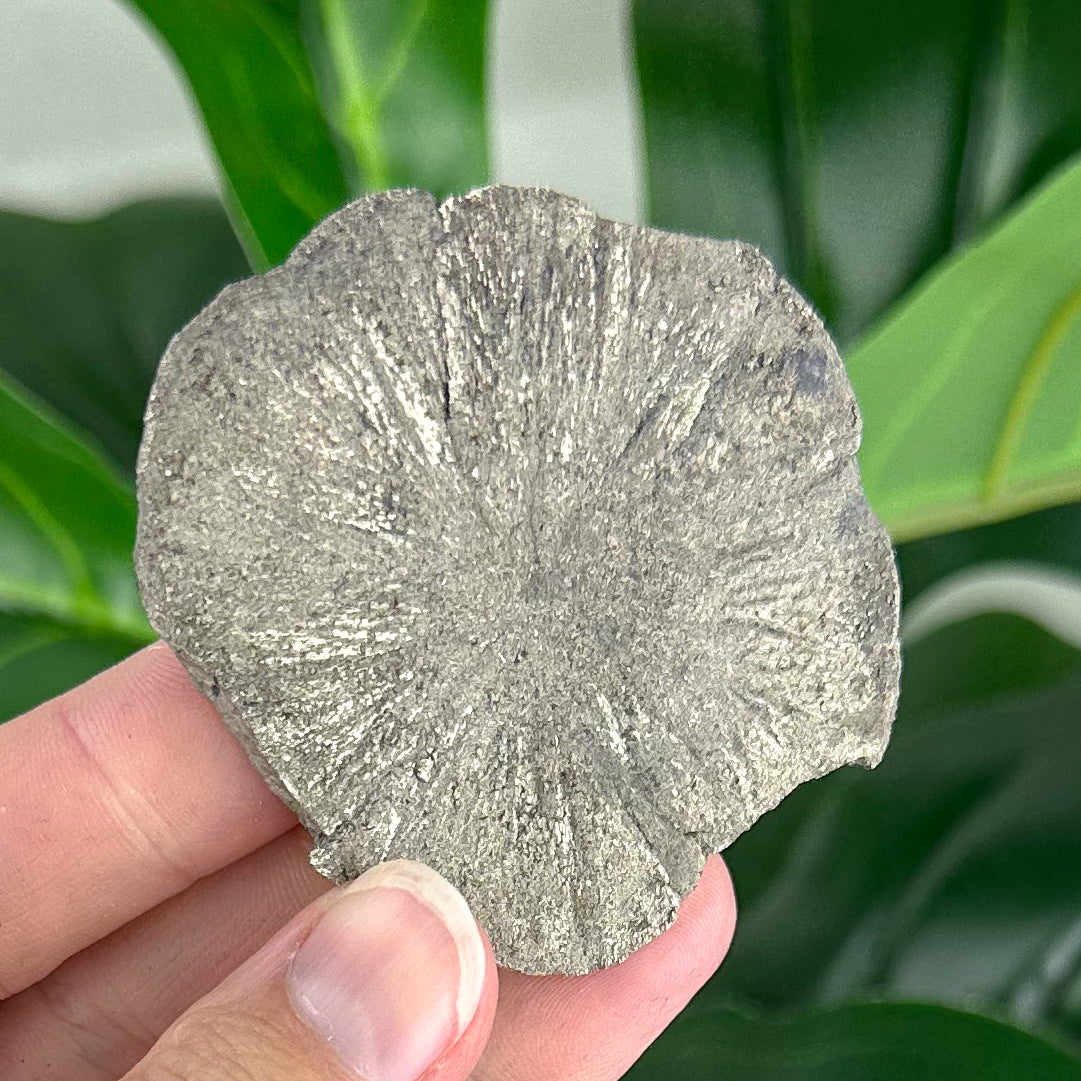 Small Pyrite Sun Crystal (58g) – Rare Collector’s Mineral for Protection & Abundance