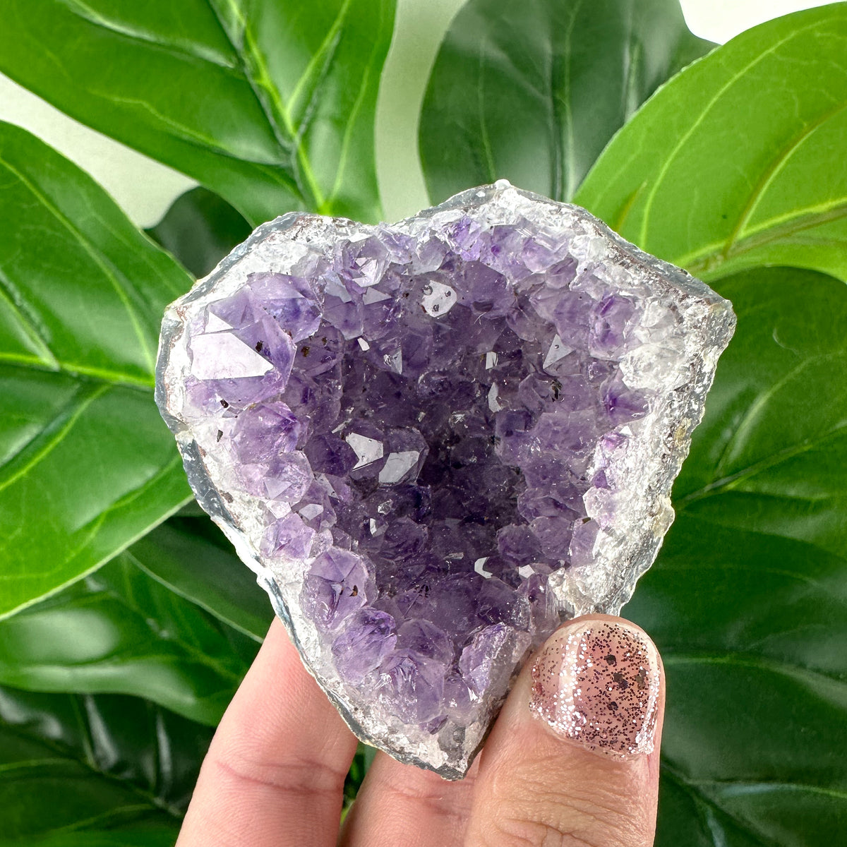 Large Amethyst Cluster- Choose Your Own
