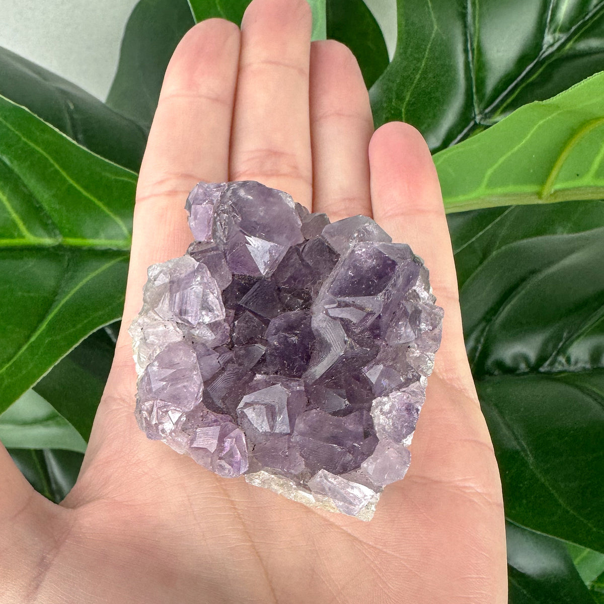 Amethyst Cluster | Statement Piece | Energy Cleansing | Spiritual Decor