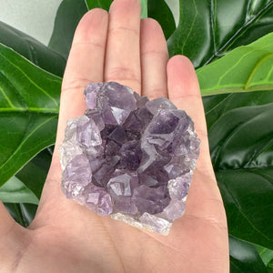 Amethyst Cluster | Statement Piece | Energy Cleansing | Spiritual Decor