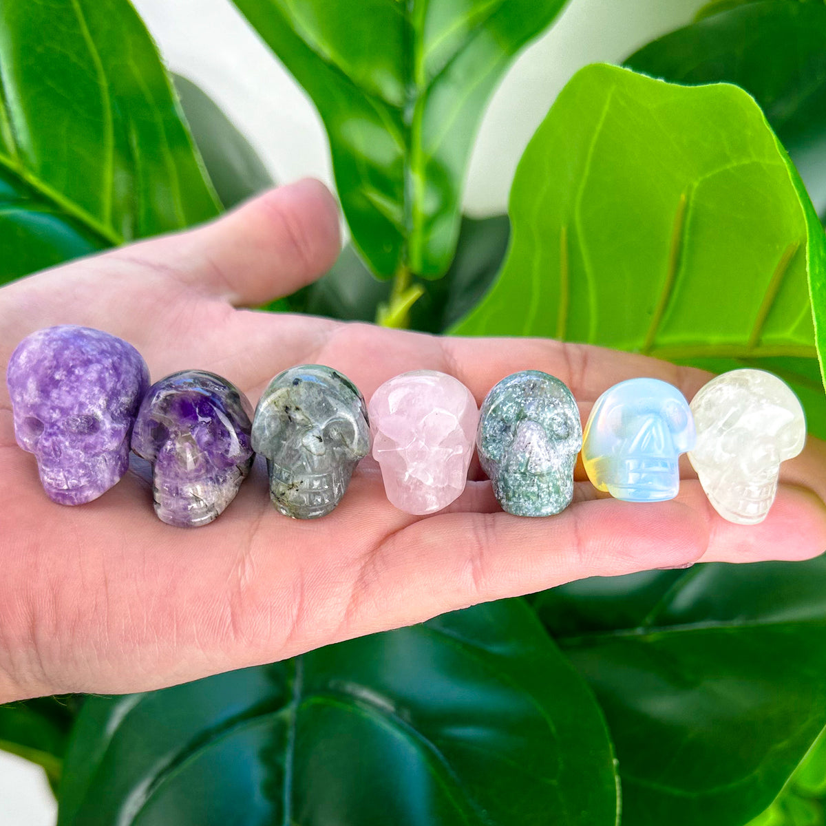 Mini Crystal Skulls | Choose Your Crystal | Spiritual Decor
