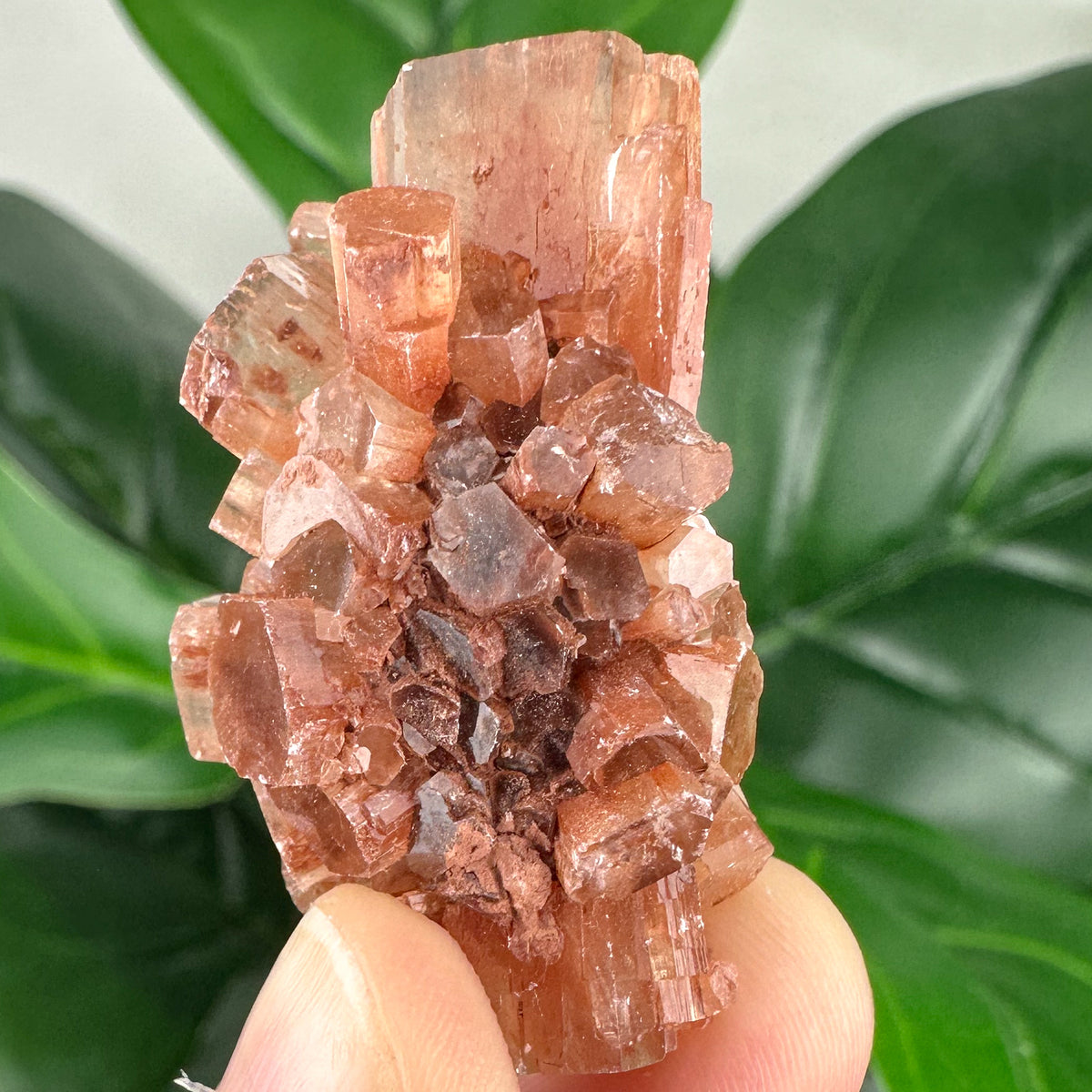 Aragonite Sputnik Cluster | Stability, Grounding & Earth Energy Crystal
