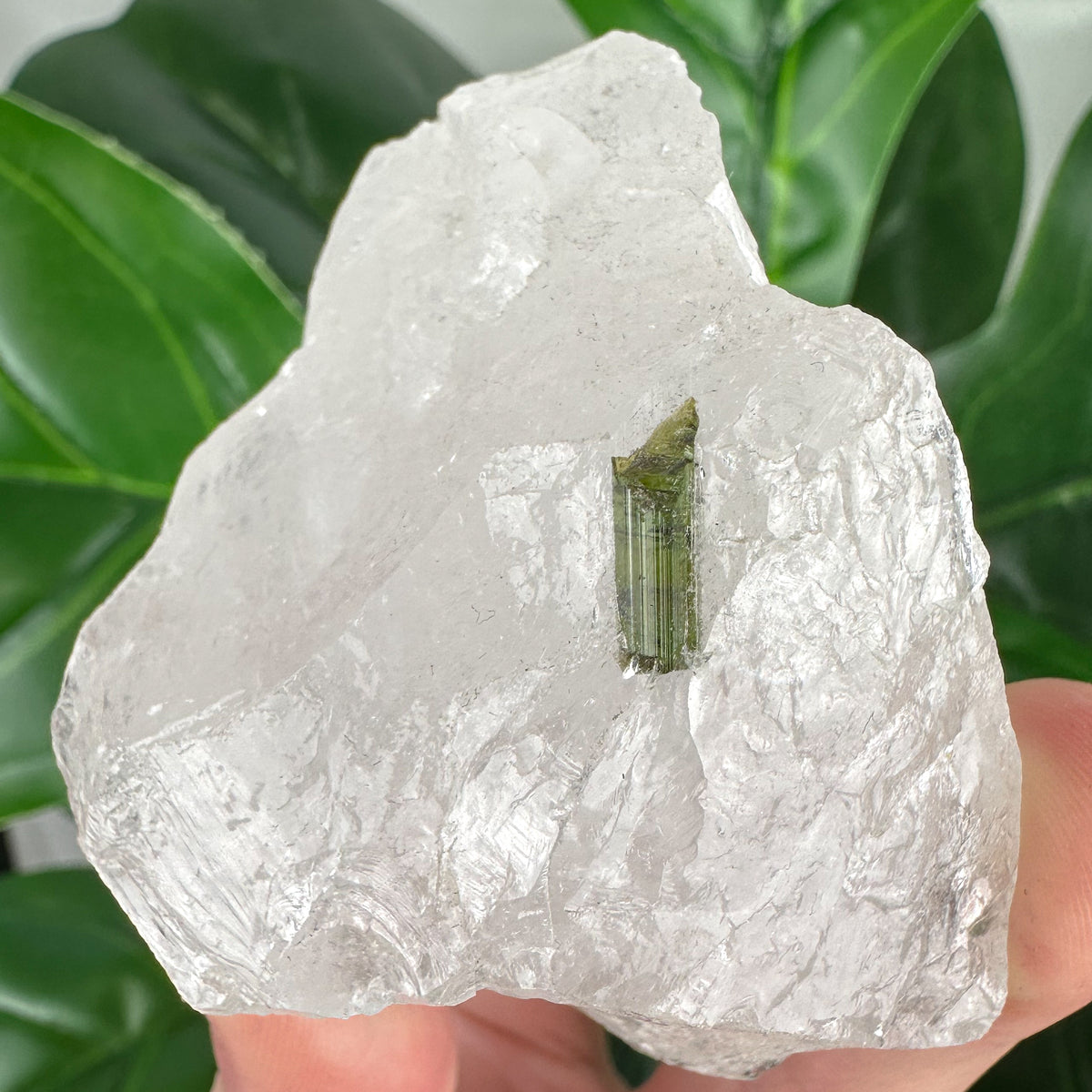 Epidote in Quartz Crystal | Grounding, Healing & Positive Energy