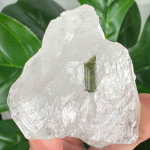 Epidote in Quartz Crystal | Grounding, Healing & Positive Energy