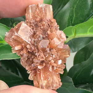 Earthy Aragonite Sputnik Crystal | Grounding & Emotional Balance