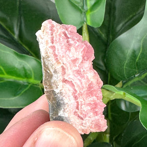Rhodochrosite Specimen | Self Love, Compassion & Emotional Healing