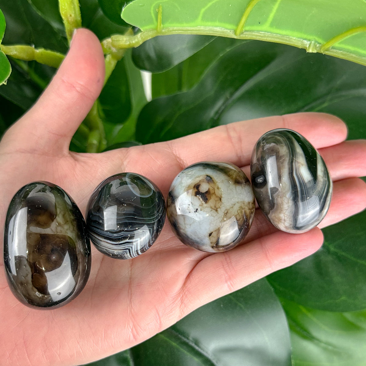 Black Onyx Tumble | Protection & Grounding | Strength Crystal