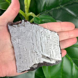 Muonionalusta Meteorite Slice 162g | Iron Meteorite Crystal