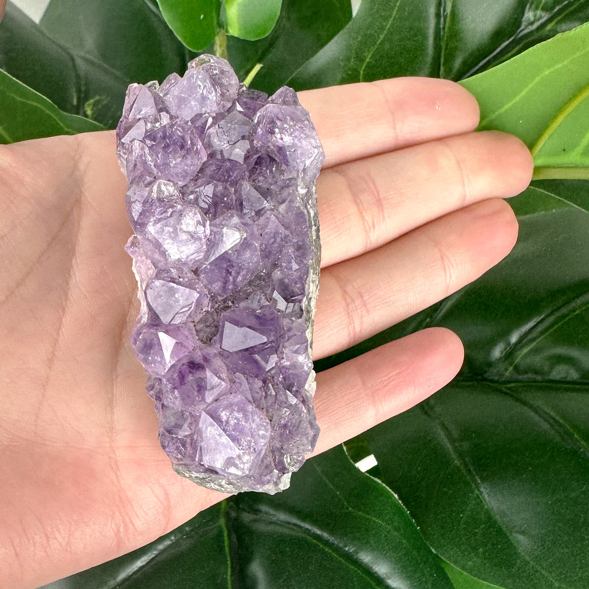 Amethyst Cluster | Natural Crystal | One of a Kind | Spiritual Healing