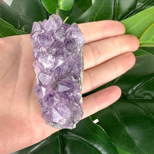 Amethyst Cluster | Natural Crystal | One of a Kind | Spiritual Healing