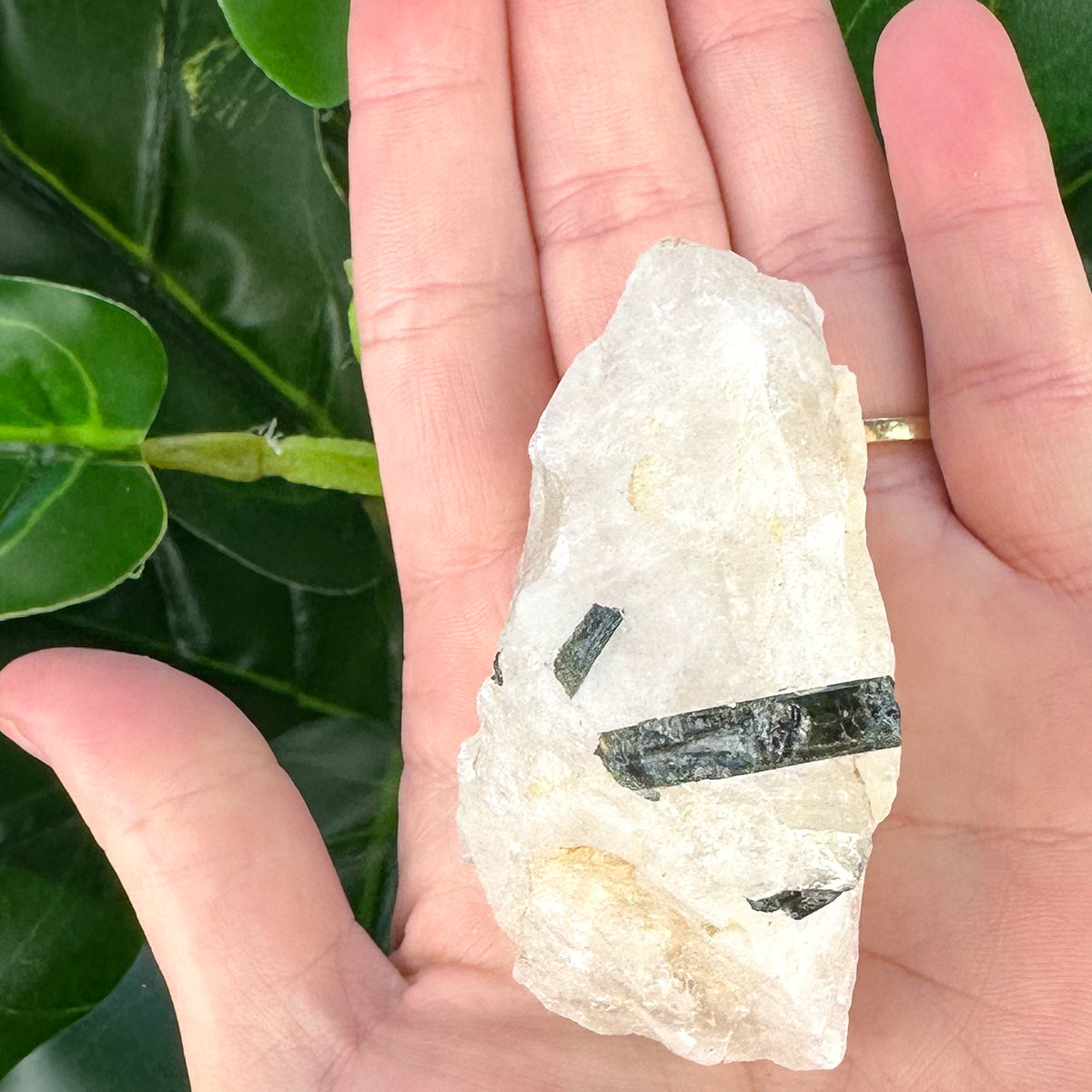 Blue Green Tourmaline Rod in Quartz | Healing & Protection