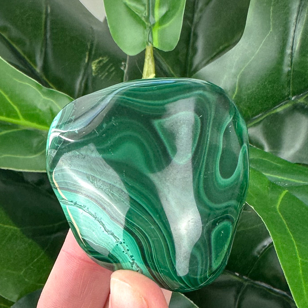 Premium Malachite Polished Crystal | Protection & Transformation