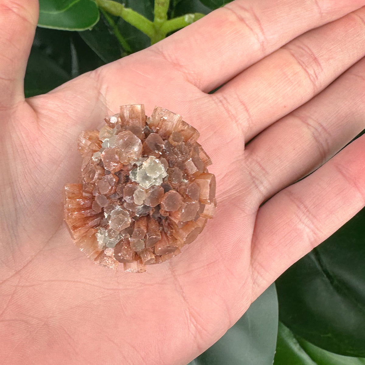 Aragonite Sputnik Mineral Specimen | Grounding & Calming Crystal