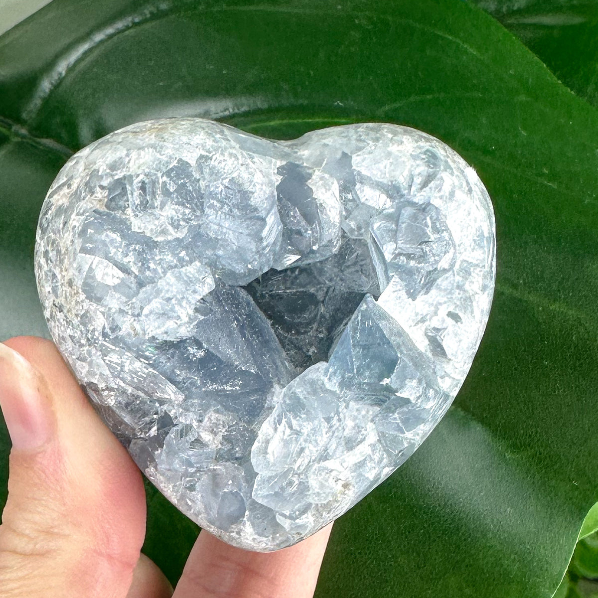 Celestite Heart “Sacred Stillness”
