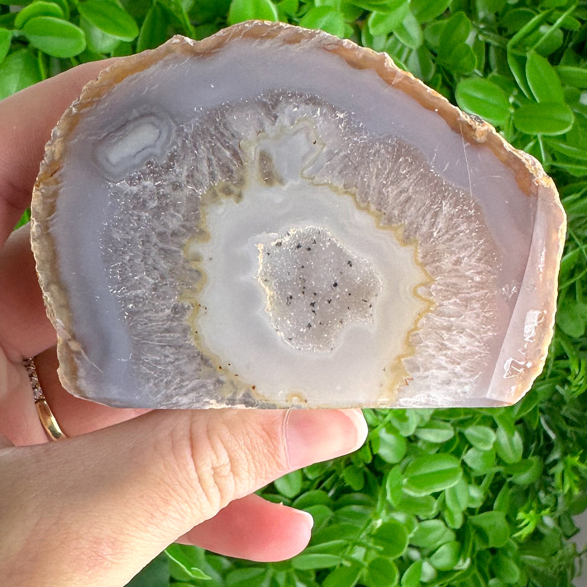 Soft Honey & Cream Agate Slice with Starry Druzy | Freestanding Polished Crystal
