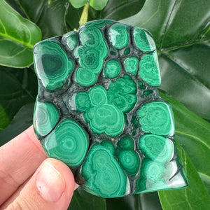 Polished Malachite Crystal | Grounding, Confidence & Protection