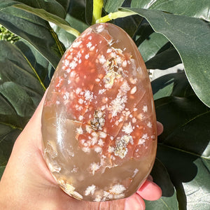 Flower Agate Free Form Crystal | Feminine Energy, Growth & New Beginnings