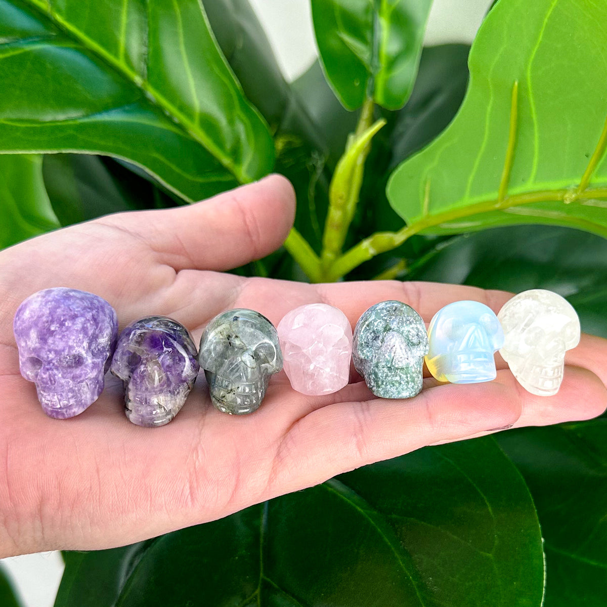 Mini Crystal Skulls | Choose Your Crystal | Spiritual Decor