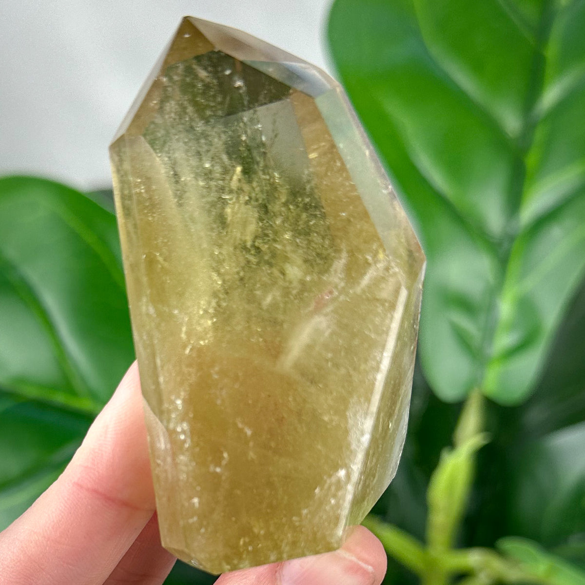 Natural Citrine Generator | Prosperity, Confidence & Positive Energy