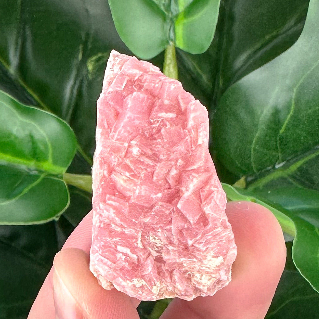 Rhodochrosite Specimen | Self Love, Compassion & Emotional Healing