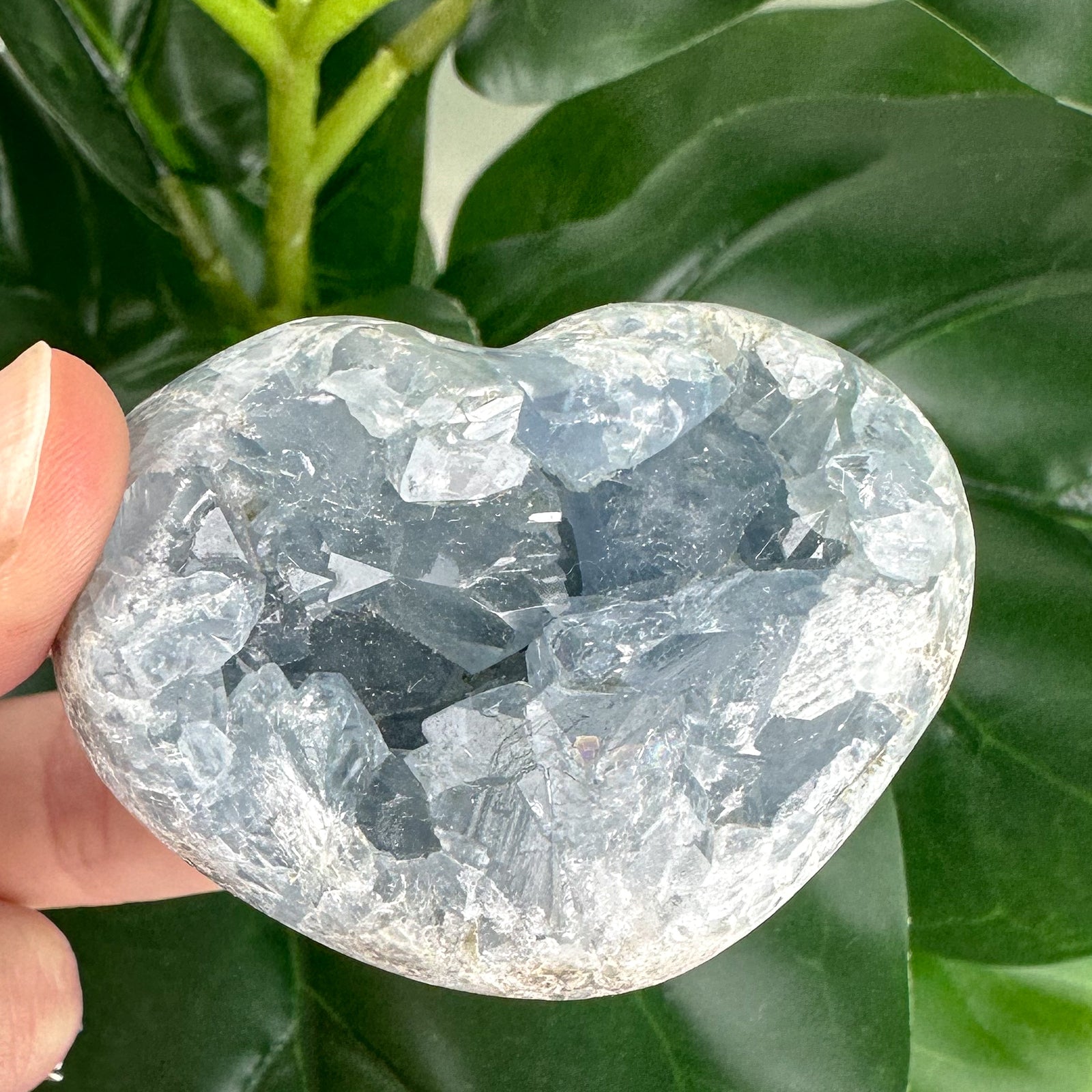 Celestite Heart “Blue Embrace”
