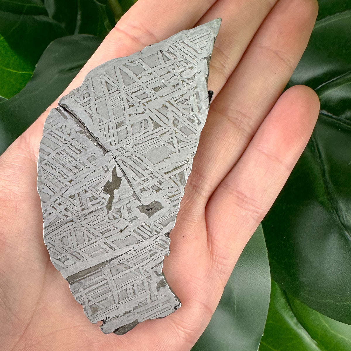 Muonionalusta Meteorite Slice 77g | Natural Iron Meteorite
